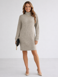 Women’s Ribbed Knit Turtleneck Dress Relaxed Fit Above Knee Length 0